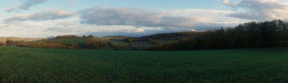 Le Chemin de la Raison.