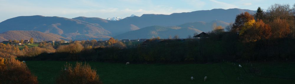 Le Chemin de la Raison.