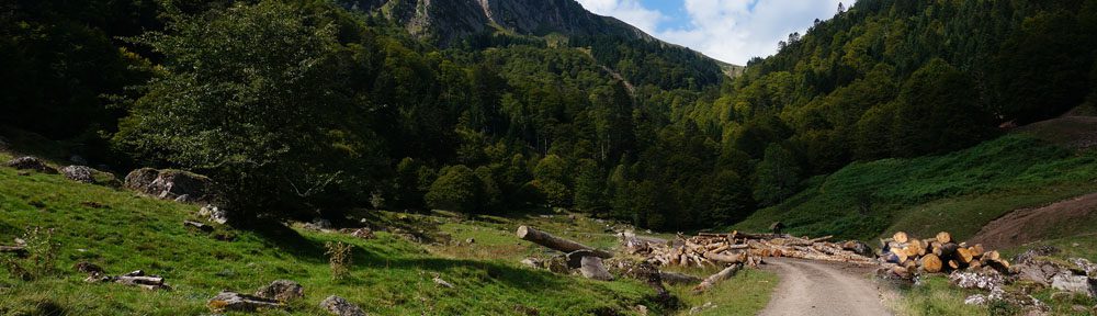 Le Chemin de la Raison.