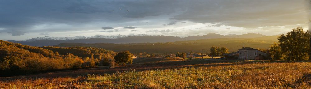 Le Chemin de la Raison.