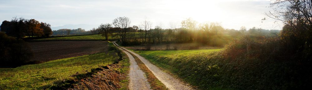 Le Chemin de la Raison.