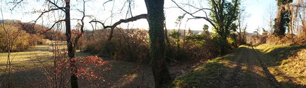 Le Chemin de la Raison.